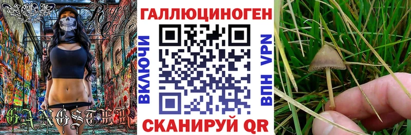 Галлюциногенные грибы ЛСД  что такое   Нытва 